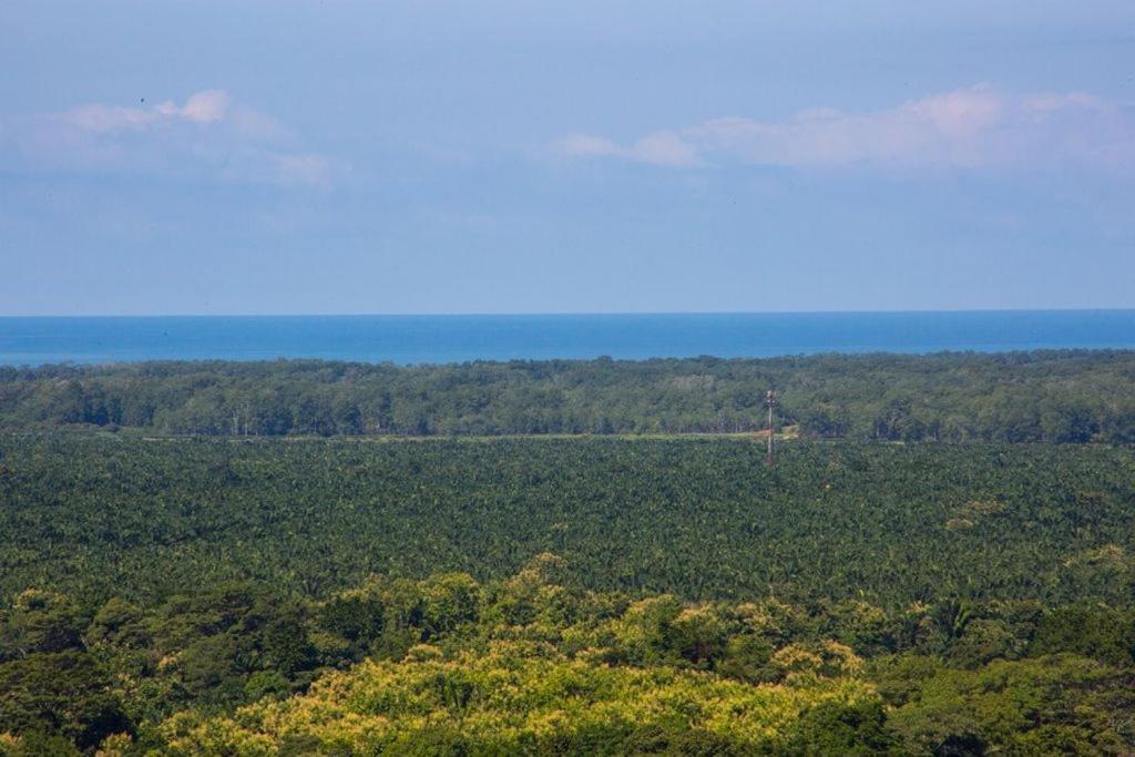 Villa Vista Hermosa - With Breathtaking Ocean View & Wifi Quepos Exteriör bild