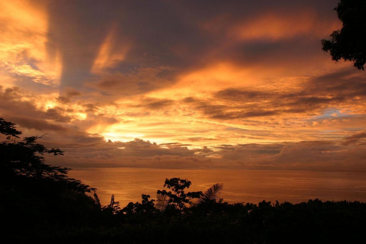 Villa Vista Hermosa - With Breathtaking Ocean View & Wifi Quepos Exteriör bild